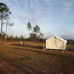 Home Field Advantage Farmstead