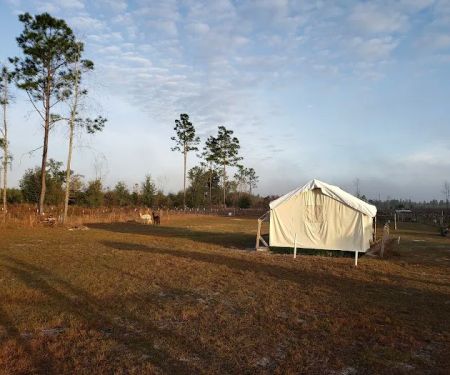 Home Field Advantage Farmstead