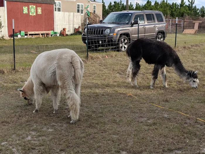 Home Field Advantage Farmstead Picture 9