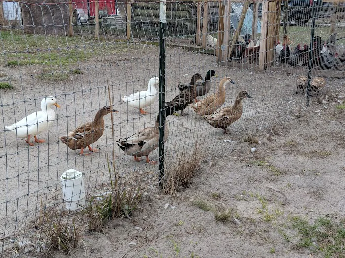 Home Field Advantage Farmstead Picture 10