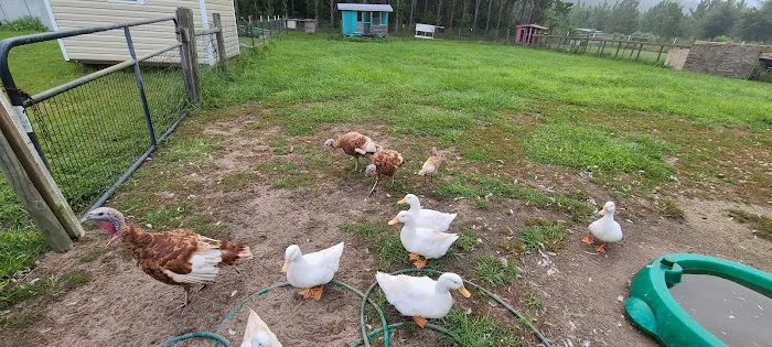 Home Field Advantage Farmstead Picture 4