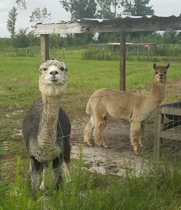 Home Field Advantage Farmstead Picture 6