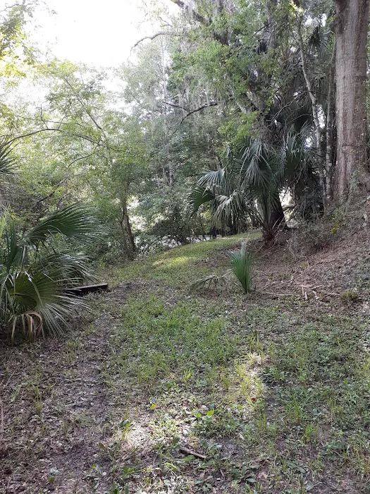 Suwannee Plantation Picture 8