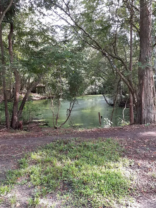 Suwannee Plantation Picture 7