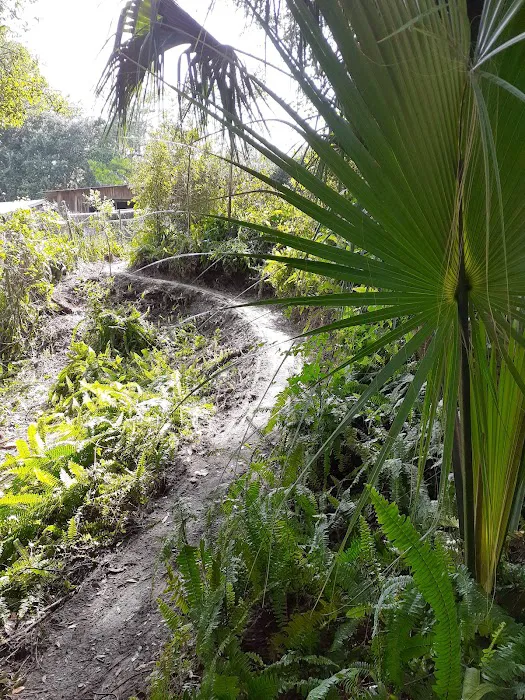 Suwannee Plantation Picture 4