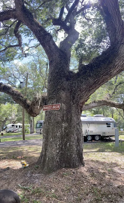 Suwannee River Bend RV Park Picture 9