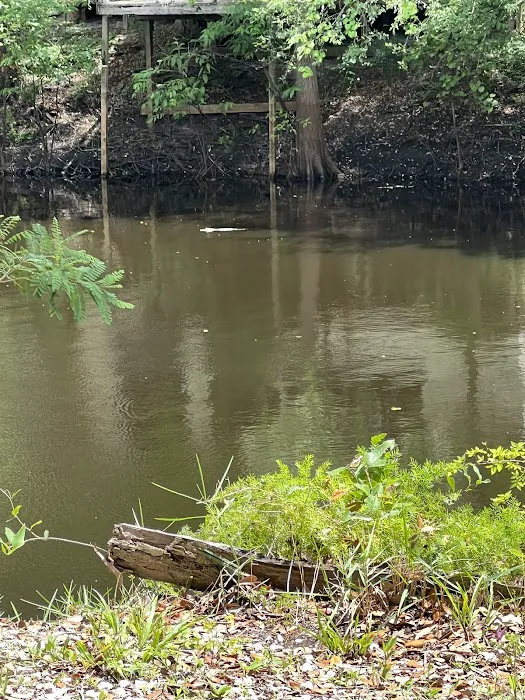 Suwannee River Bend RV Park Picture 8