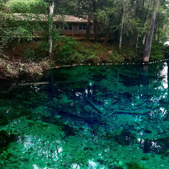 Suwannee River Bend RV Park Picture 5