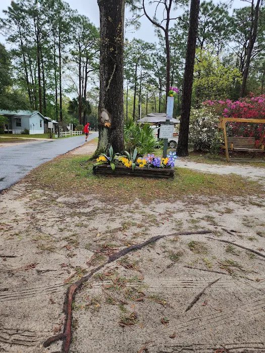 Old Town Campground Picture 6