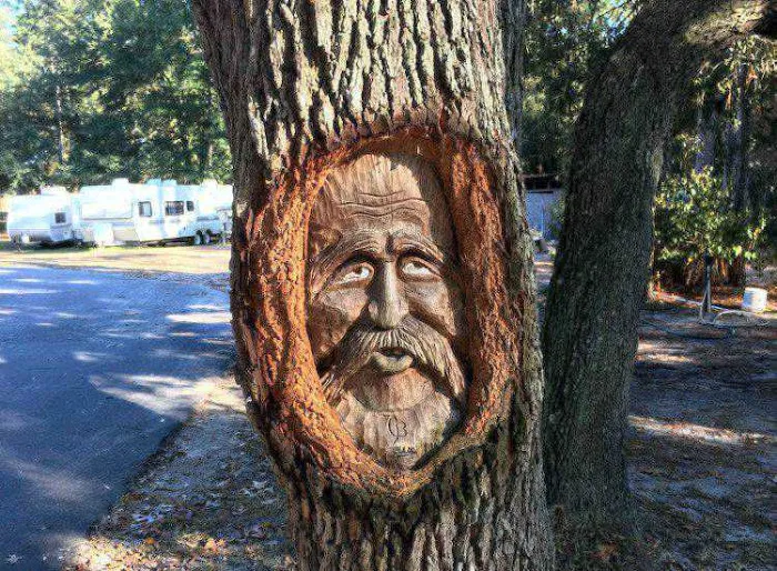 Old Town Campground Picture 7