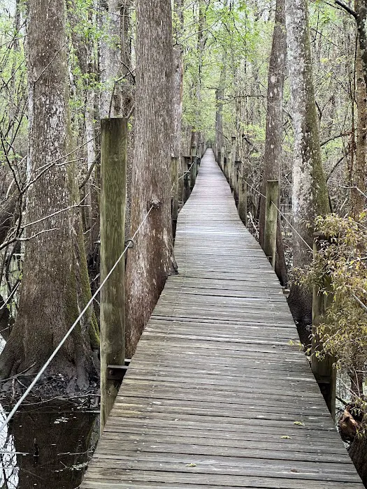 Group Camping Picture 1