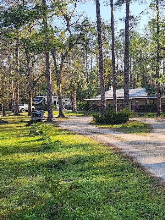 Group Camping Picture 5
