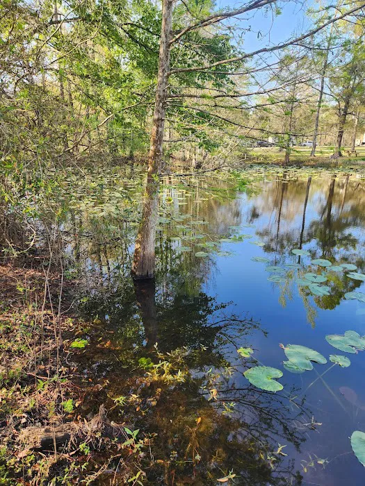 Group Camping Picture 3