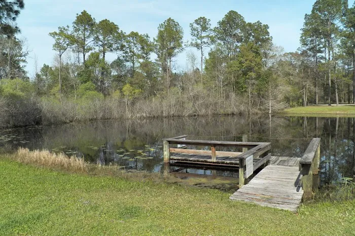 Group Camping Picture 2