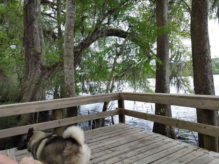 Group Camping Picture 4