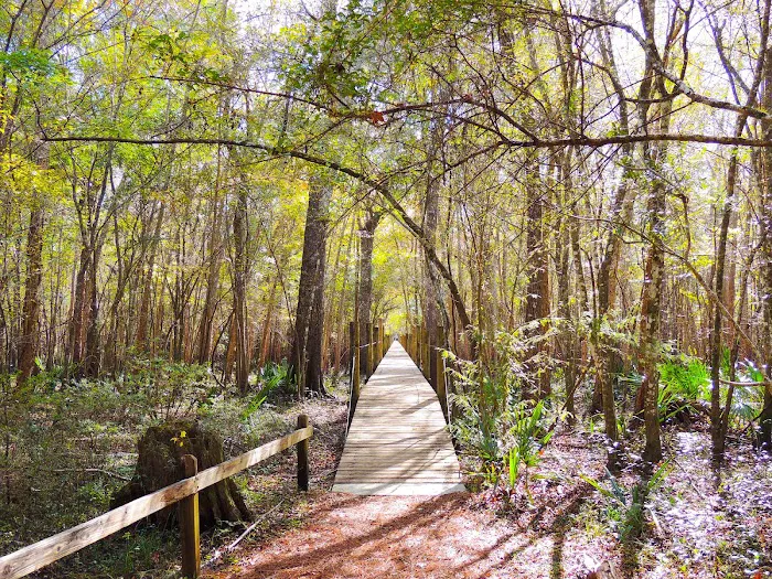 Group Camping Picture 9