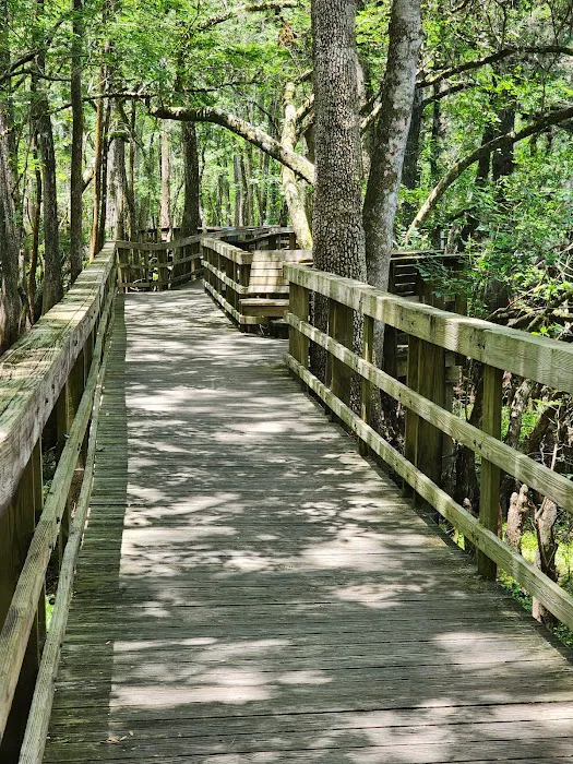 Manatee Springs State Park Campground Picture 4