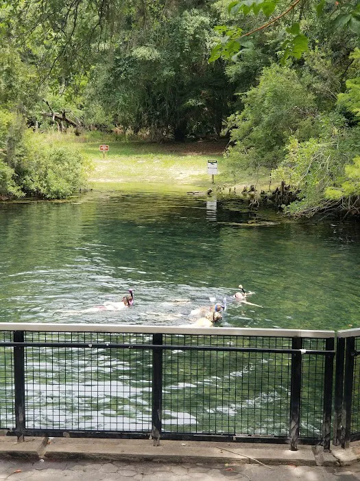 Manatee Springs State Park Campground Picture 2