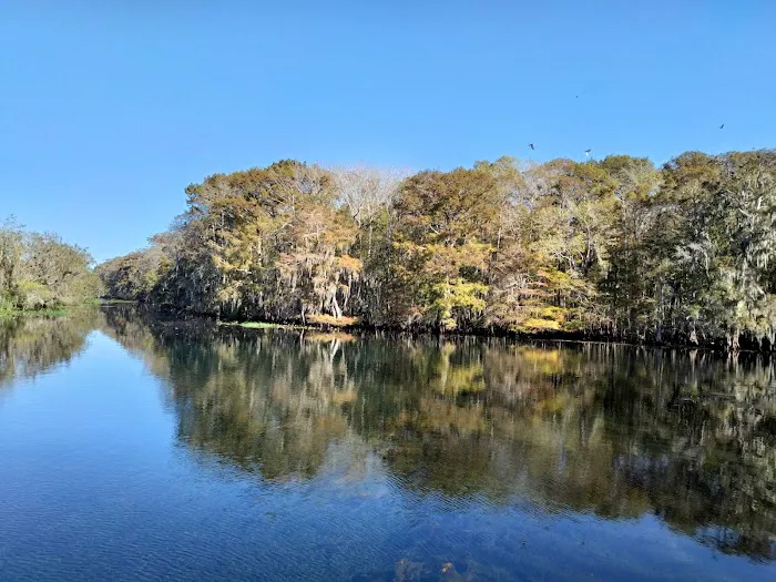 Manatee Springs State Park Campground Picture 6