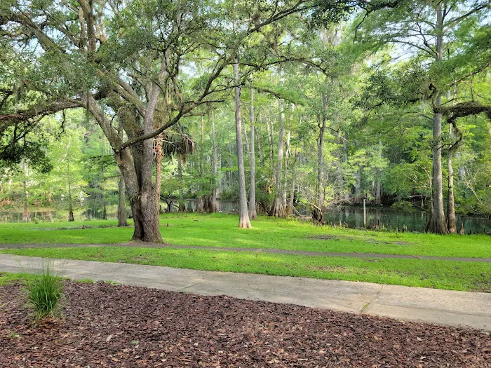 Manatee Springs State Park Campground Picture 7