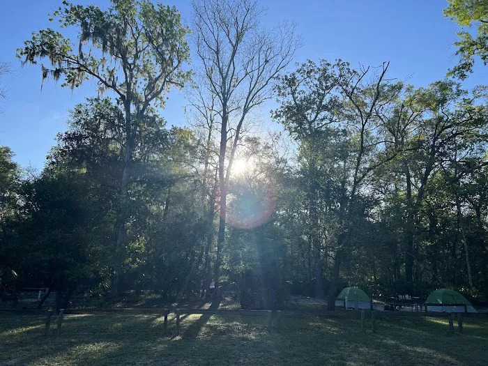 Manatee Springs State Park Campground Picture 10