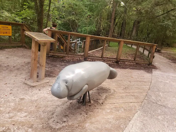 Manatee Springs State Park Campground Picture 9