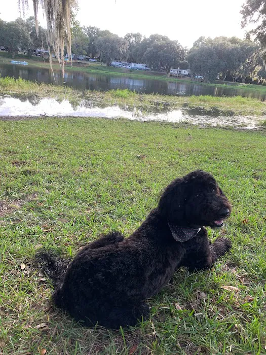 Lake Park RV & Campground Picture 10