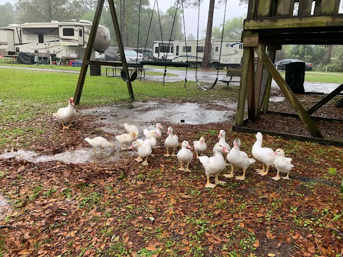 Lake Park RV & Campground Picture 5