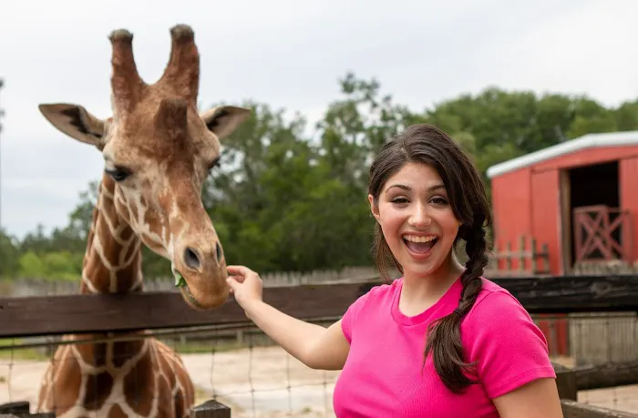 Wild Adventures Safari Campground Picture 4