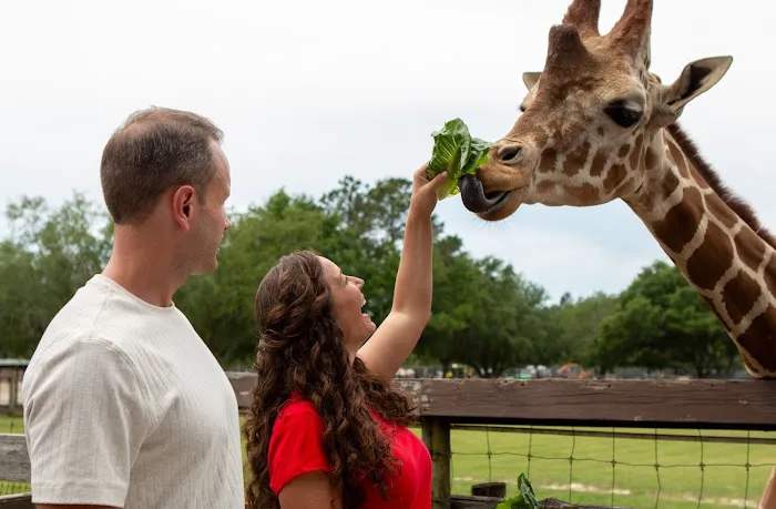 Wild Adventures Safari Campground Picture 2