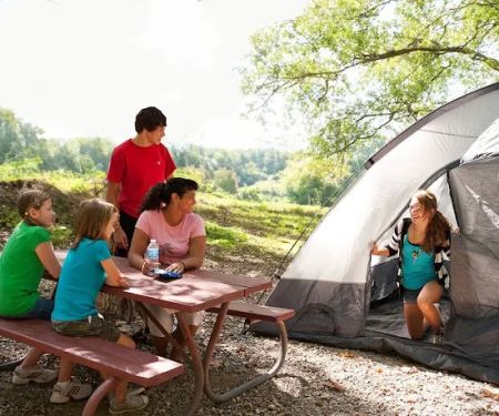 Wild Adventures Safari Campground