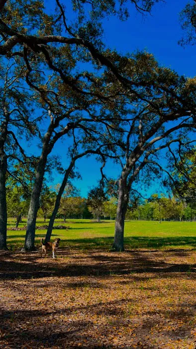 Wildflower Ranch Picture 2