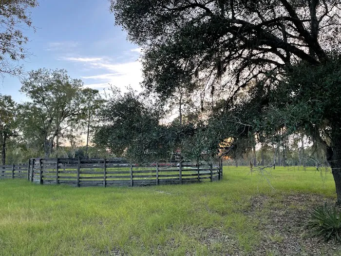 Wildflower Ranch Picture 8