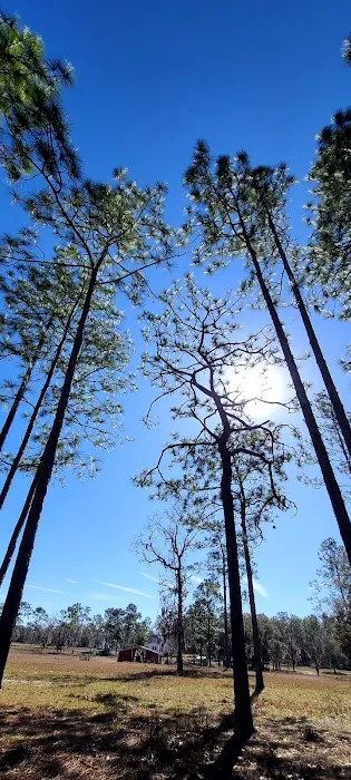 Wildflower Ranch Picture 6