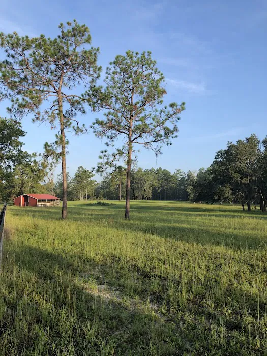 Wildflower Ranch Picture 3