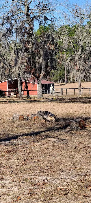 Wildflower Ranch Picture 7