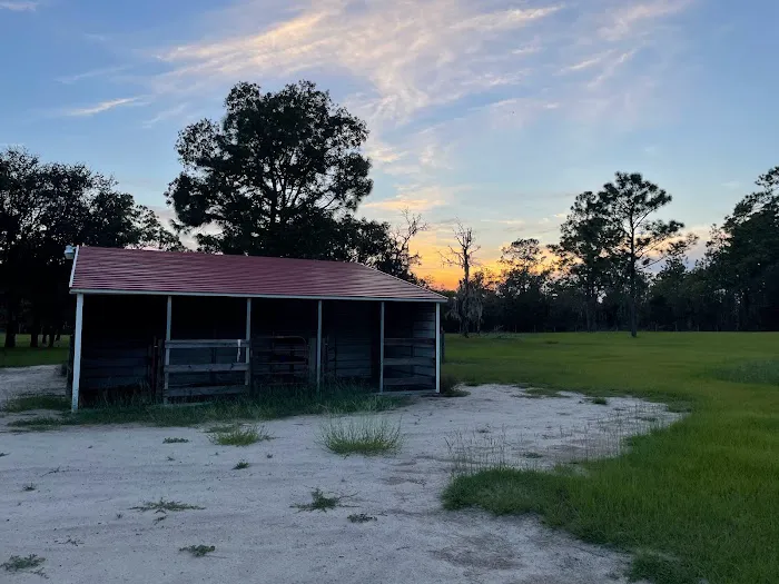 Wildflower Ranch Picture 4