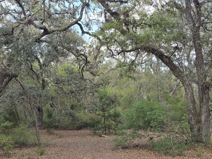 Bennett Field Family Campground Picture 1