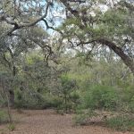 Bennett Field Family Campground
