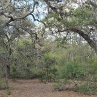 Bennett Field Family Campground ico