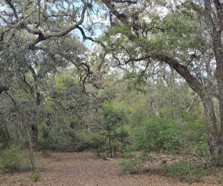 Bennett Field Family Campground