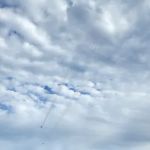 Orange Tent Campground (DIS)