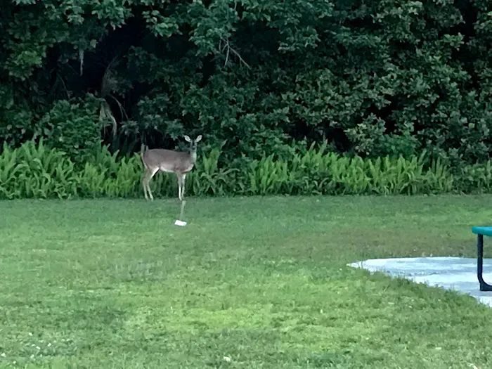 Daytona RV Oasis Picture 9