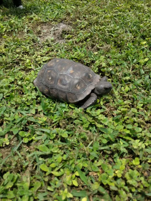 YMCA Camp Winona Picture 5