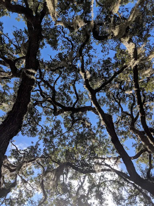 YMCA Camp Winona Picture 8