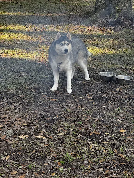 River Road Campground Picture 1