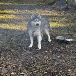 River Road Campground