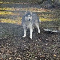 River Road Campground ico