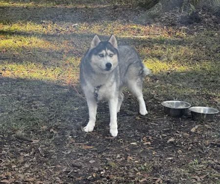 River Road Campground