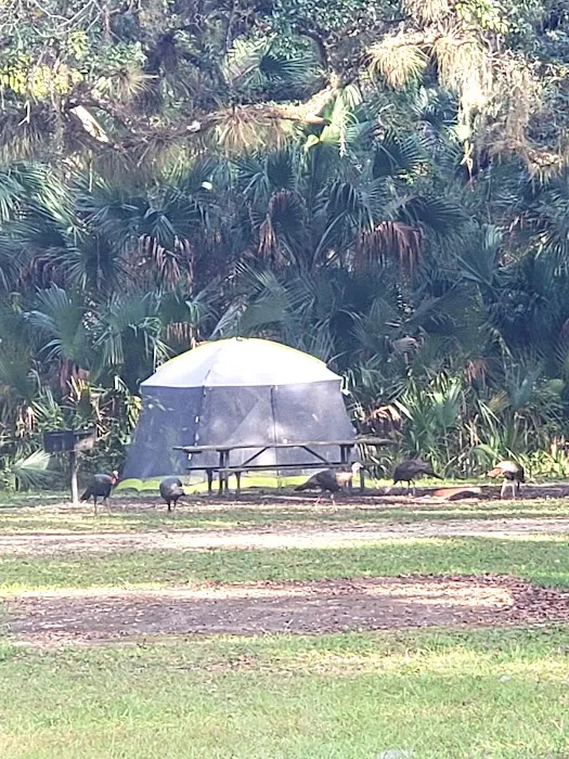 River Road Campground Picture 6